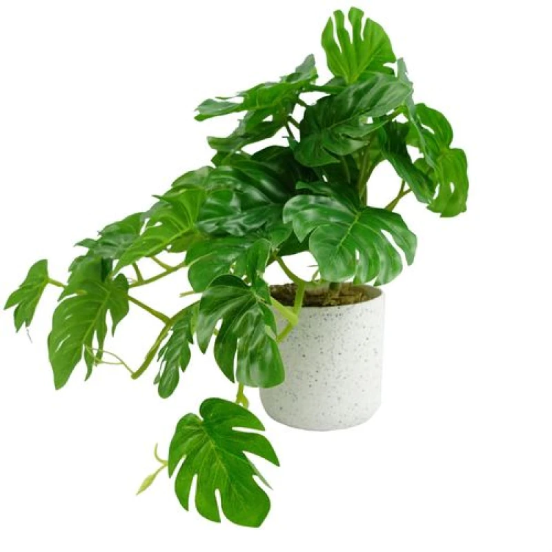 Image of Leaf 30cm Artificial Green Potted Monstera Trailing Plant