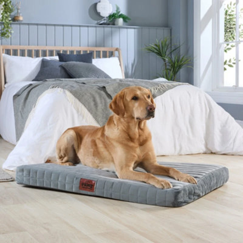 Image of Slumberdown Paws for Slumber Large Orthopedic Pet Bed Grey