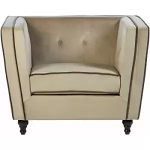 Image of Ferris Mink Velvet Chair - Premier Housewares