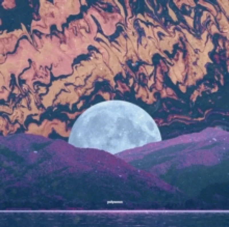 Image of Polysomn CD / Album