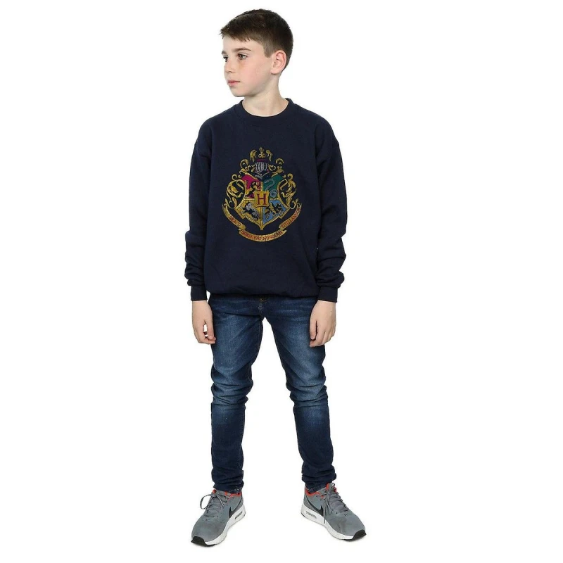 Image of Harry Potter Hogwarts Houses Cotton Sweatshirt Navy male