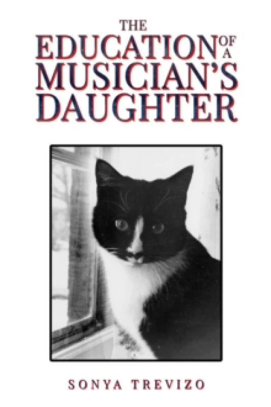 Image of The Education of a Musicians Daughter Paperback / softback