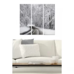 Image of MDF581101 Multicolor Decorative MDF Painting (3 Pieces)