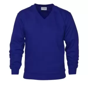 Image of Absolute Apparel Mens V Neck Sweat (M) (Royal)