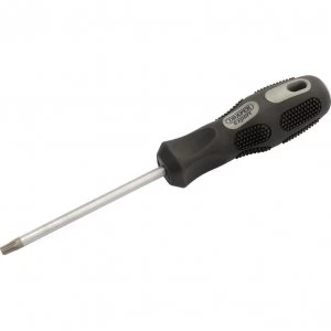 Image of Draper Expert Security Torx Screwdriver T30 115mm