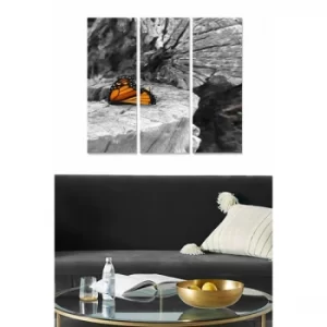 Image of MDFSBO15 Multicolor Decorative MDF Painting (3 Pieces)