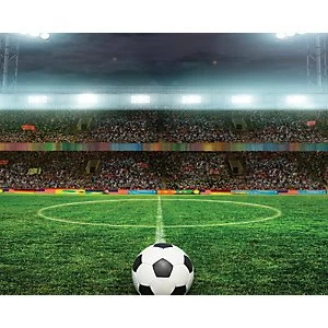 Image of ohpopsi Free Kick Wall Mural Multi 14.4m L