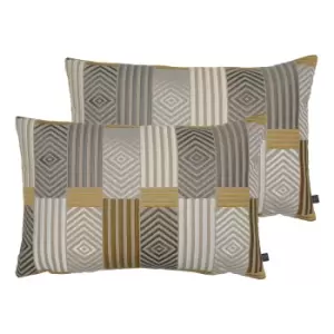 Image of Blake Twin Pack Polyester Filled Cushions