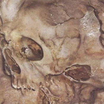 Image of Deceiver - THRASHING HEAVY METAL CD