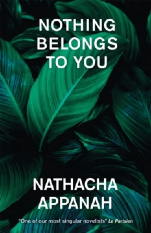 Image of Nothing Belongs to You Paperback / softback