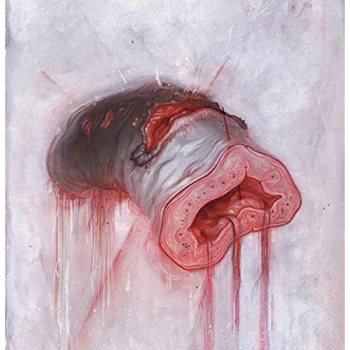 Image of American Heritage - Prolapse CD