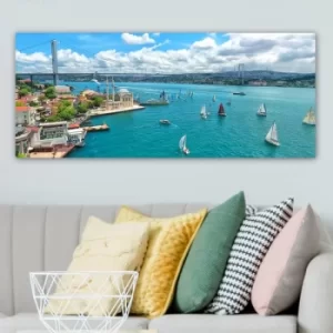 Image of YTY691092586_50120 Multicolor Decorative Canvas Painting