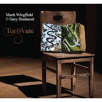 Image of Mark Wingfield & Gary Husband - Tor & Vale CD