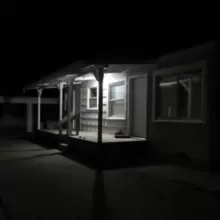 Image of Birds tricked into the trees