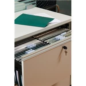Image of Elba Verticfile Foolscap Ultimate Suspension File Manilla 240gsm Green Pack 50