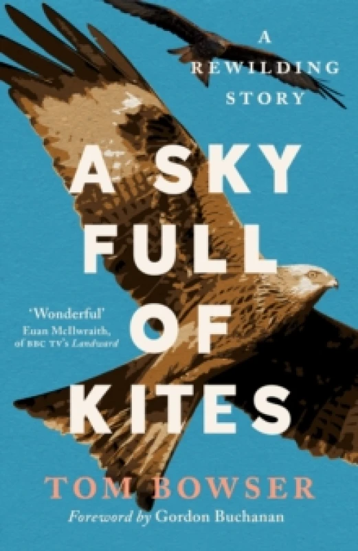 Image of A Sky Full of Kites : A Rewilding Story Paperback / softback