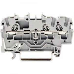 Image of Continuity 5.20 mm Pull spring Configuration L Grey