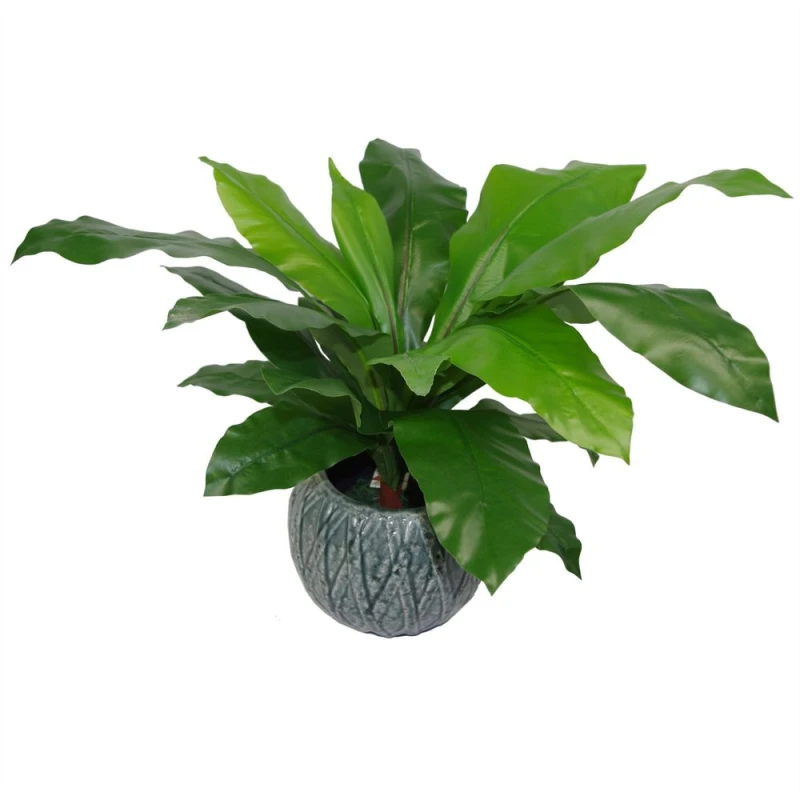 Image of Leaf Artificial Bird Nest Fern Plastic weighted pot 60cm Realistic House Plants Botanik Green