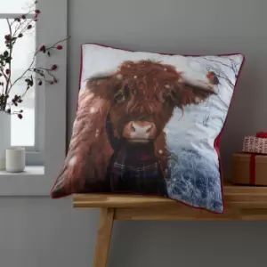 Image of Catherine Lansfield Highland Cow Piped Edge Filled Cushion, Multi, 55 x 55 Cm