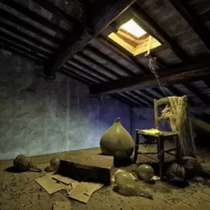 Image of Jon Mueller - Family Secret Vinyl