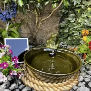 Image of Tranquility Water Features - Ceramic Frog