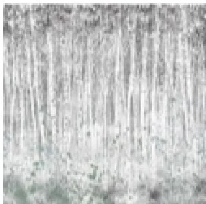 Image of Art For The Home Painterly Woods Mural Wallpaper Paper