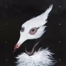 Image of Delta Sands