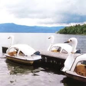 Image of Karl Lindh &ndash; Bortom E4's Horisont Vinyl