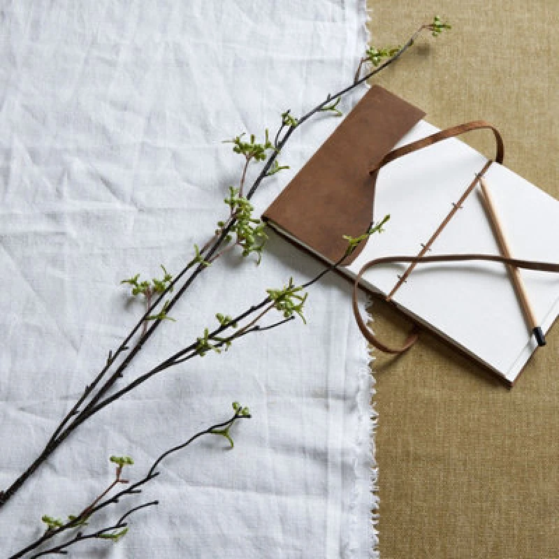 Image of Green Berry Willow Stem