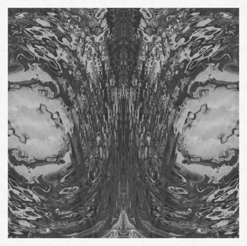 Image of The Capsule CD / Album