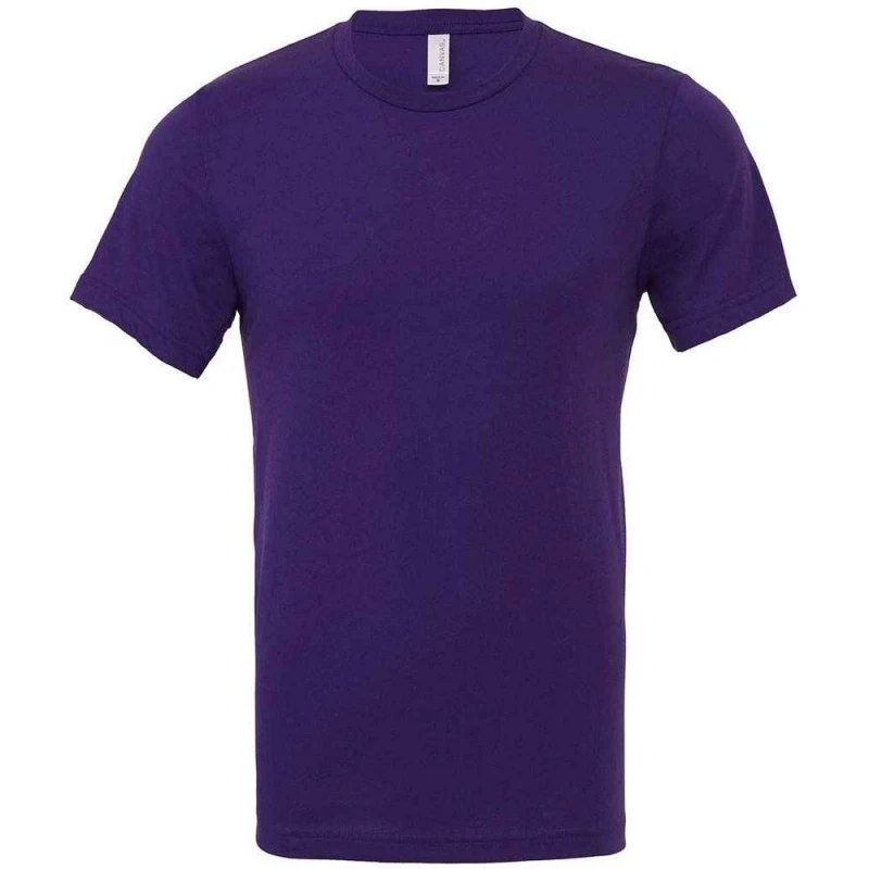 Image of Bella + Canvas Mens Crew Neck T-Shirt in Plum Size: XS Plum Male XS