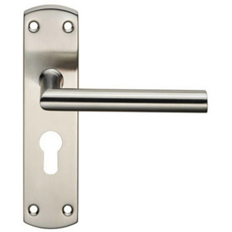 Image of Loops Mitred Lever Door Handle on Euro Lock Backplate 172 x 44mm Satin Steel Metallics