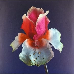 Image of Flume - Tiny Cities (Feat. Beck) Take A Chance (Feat. Little Dragon) Vinyl