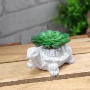 Image of Mini Cement Tortoise Planter with Succulent