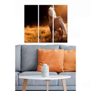 Image of MDFFTR1017 Multicolor Decorative MDF Painting (3 Pieces)