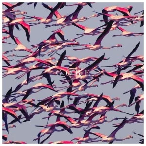Image of Deftones - Gore Vinyl