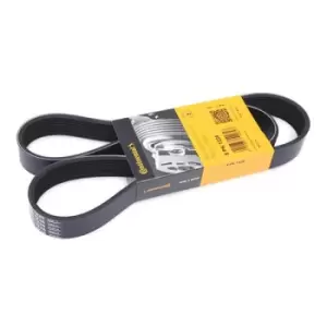 Image of CONTITECH V-ribbed belt 8PK1226 Serpentine belt,Auxiliary belt MAZDA,5 (CR19),3 (BK),6 Station Wagon (GY),6 (GG),6 Hatchback (GG),3 Stufenheck (BK)