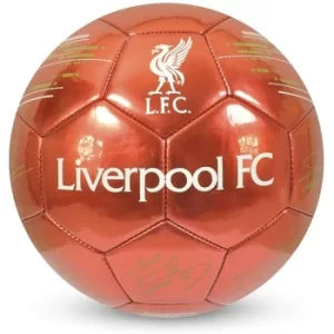 Image of Liverpool FC Football Signature RD size 5