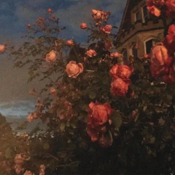 Image of John Bence - Love Limited Edition Orange Vinyl