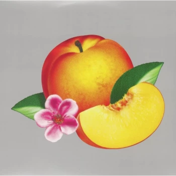 Image of Phoenix - Bankrupt Vinyl