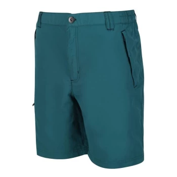 Image of Regatta Leesville II Shorts - PacificGreen