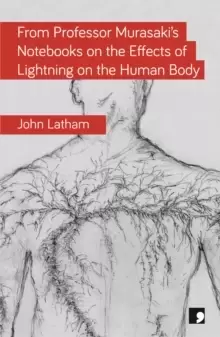 Image of From Professor Murasaki's Notebooks on the Effects of Lightning on the Human Body