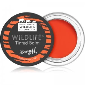 Image of Barry M Wildlife Tinted Lip Balm Shade Untamed Red 3,6 g