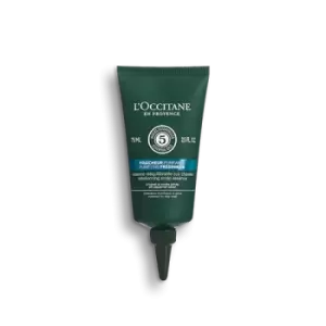 Image of Purifying Freshness Rebalancing Scalp Essence