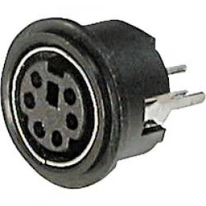 Image of Mini DIN connector Socket vertical vertical Number of pins 8 Black ASSMANN WSW A DIO TOP08