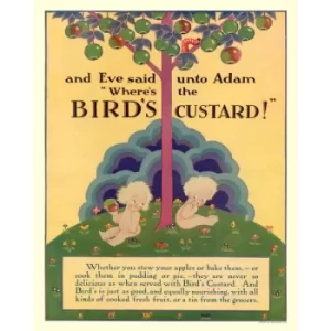 Image of Vintage Metal Sign Retro Advertising Birds Custard, Adam & Eve
