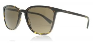 Image of Dolce & Gabbana DG4301 Sunglasses Havana 502 / 73 53mm