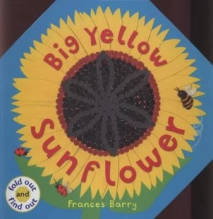 Image of Big Yellow Sunflower by Frances Barry Hardback