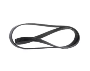 Image of CONTITECH V-ribbed belt BMW,OPEL,RENAULT 6PK1605 11287509385,11287526928,11287529742 11287544787,11287631819,11288510238,11288512248,11288575058