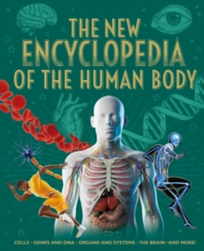 Image of The New Encyclopedia of the Human Body : Cells, Genes and DNA, Organs and Systems, the Brain, and More! Hardback